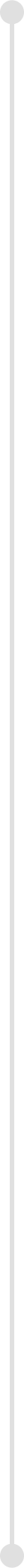 annual-report-section-vertical-divider-webp@2x